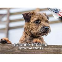 Border Terrier 2026 Calendar