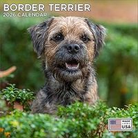 Border Terrier 2026 Calendar