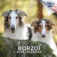 Borzoi 2026 Calendar
