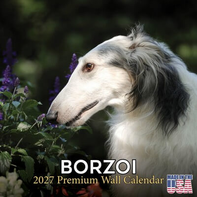 Borzoi 2027 Calendar
