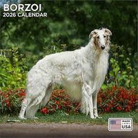 Borzoi 2026 Calendar