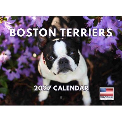 Boston Terriers 2027 Wall Calendar