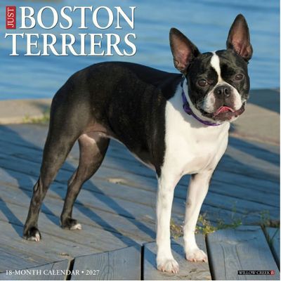 Boston Terriers 2027 Wall Calendar