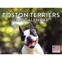Boston Terriers 2026 Calendar
