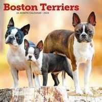 Boston Terriers 2026 Wall Calendar