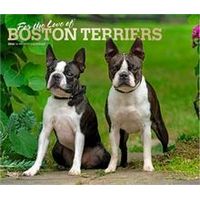 Boston Terriers 2026 Wall Calendar