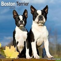 Boston Terriers 2026 Wall Calendar