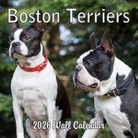 Boston Terriers 2026 Wall Calendar