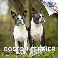 Boston Terriers 2026 Wall Calendar