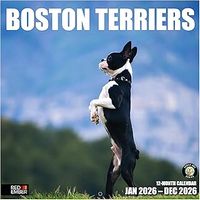 Boston Terriers 2026 Wall Calendar