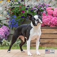 Boston Terriers 2026 Wall Calendar