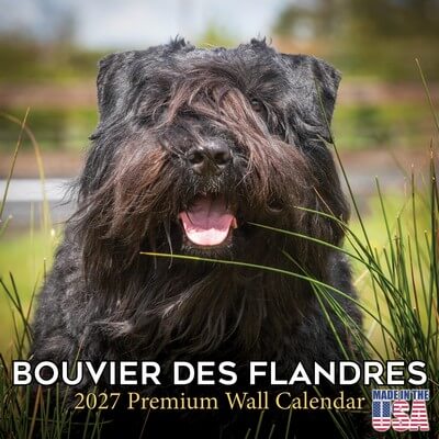 Bouvier des Flandres 2027 Calendar