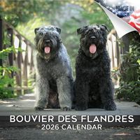 Bouvier des Flandres 2026 Calendar