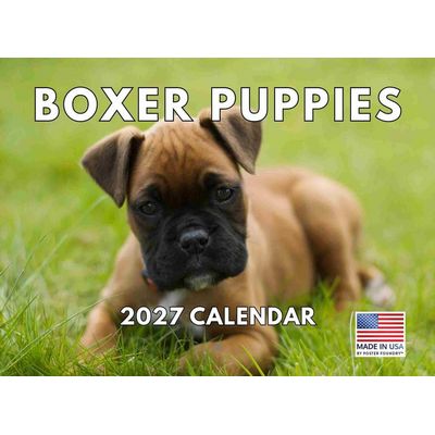 Boxer Puppies 2027 Calendar