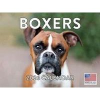 Boxers 2026 Calendar