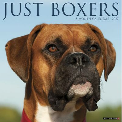 Boxers 2027 Wall Calendar