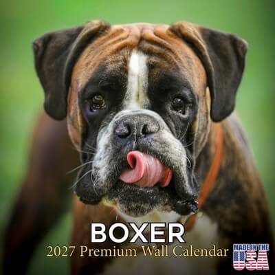 Boxers 2027 Wall Calendar