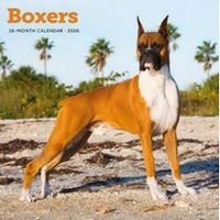 Boxers 2026 Wall Calendar