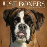 Just Boxers 2026 Calendar