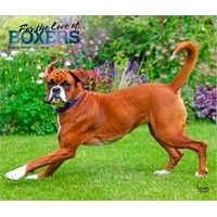For the Love of Boxers 2026 Calendar