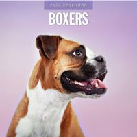 Boxers 2026 Calendar