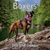 Boxers 2026 Wall Calendar