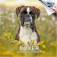 Boxers 2026 Wall Calendar