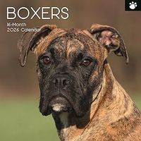 Boxers 2026 Wall Calendar