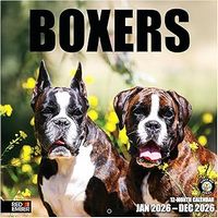 Boxers 2026 Wall Calendar