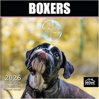 Boxers 2026 Wall Calendar