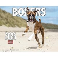 Boxers 2026 Wall Calendar