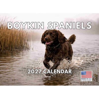 2027 Boykin Spaniel Calendar
