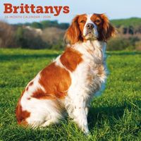 Brittanys 2026 Wall Calendar
