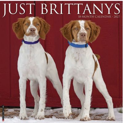 Brittanys 2027 Wall Calendar