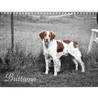 Brittanys Calendar