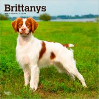 Just Brittanys 2026 Wall Calendar