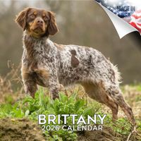 Brittany 2026 Wall Calendar