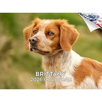 Brittany 2026 Wall Calendar