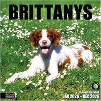 Brittanys 2026 Wall Calendar