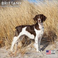 Brittanys 2026 Wall Calendar