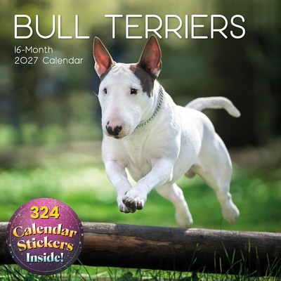 Bull Terrier 2027 Wall Calendar