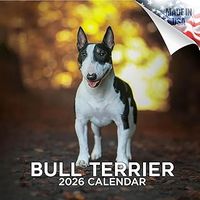 Bull Terrier 2026 Wall Calendar
