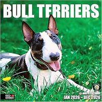 Bull Terriers 2026 Wall Calendar