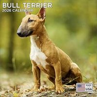 Bull Terriers 2026 Wall Calendar
