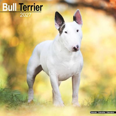 Bull Terrier 2027 Wall Calendar