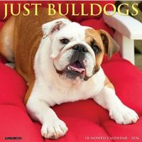 Bulldogs 2026 Calendar