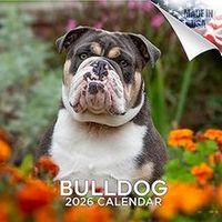 Bulldogs 2026 Calendar