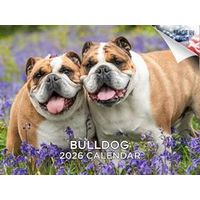 Bulldogs 2026 Calendar