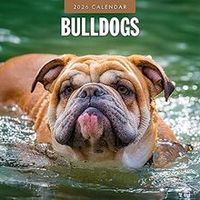 Bulldogs 2026 Wall Calendar