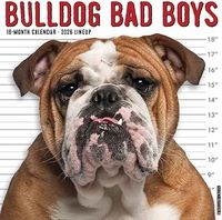 Bulldogs 2026 Calendar